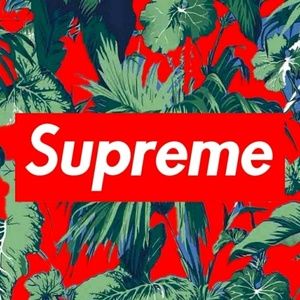 Meet your Posher, Malachi